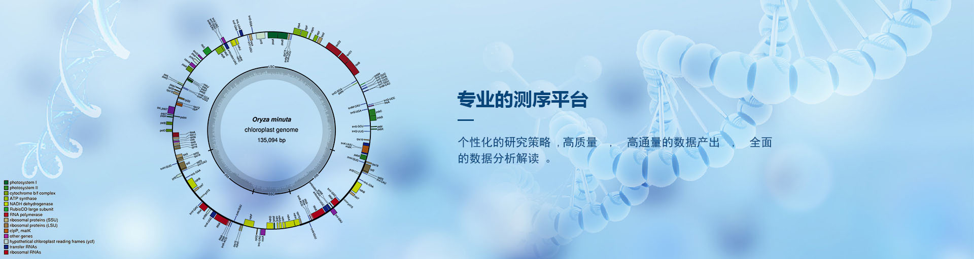 選擇專業(yè)